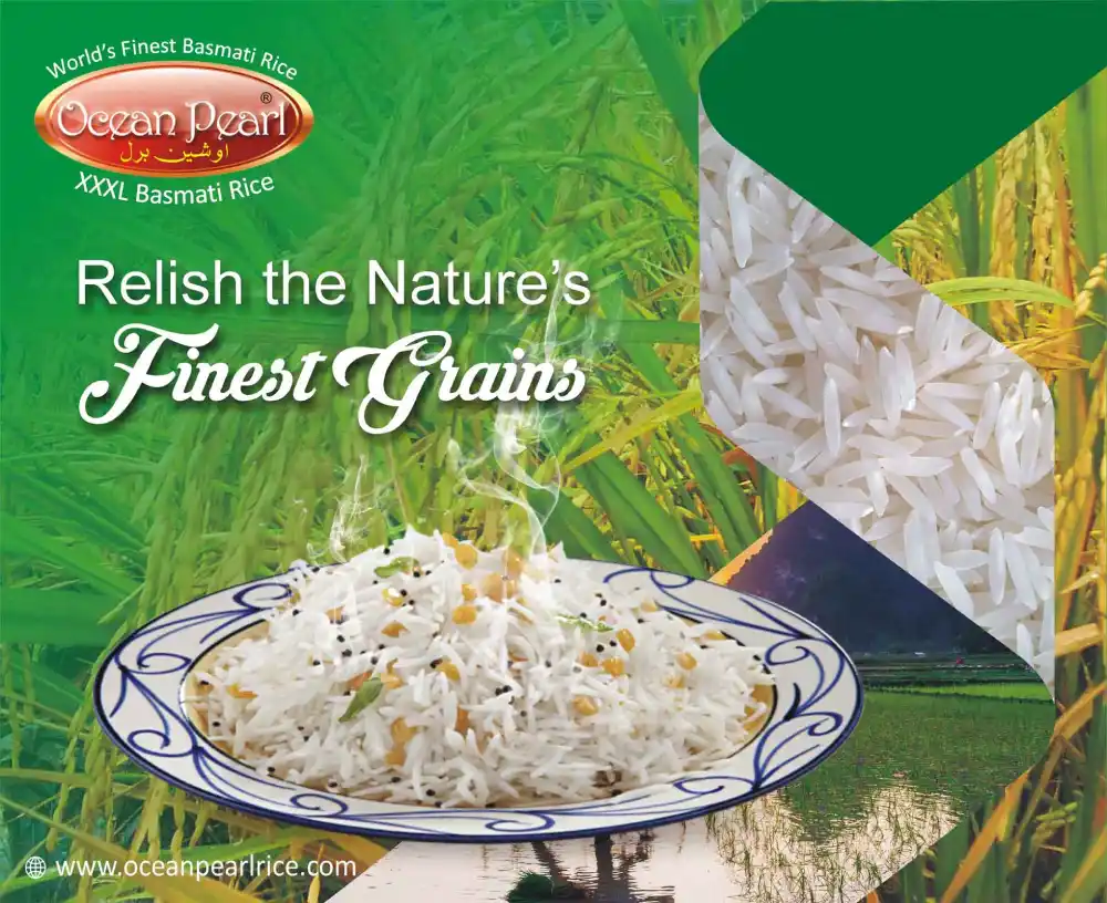 biggest basmati rice exporter in pakistan, biggest basmati rice exporter in kamoke,