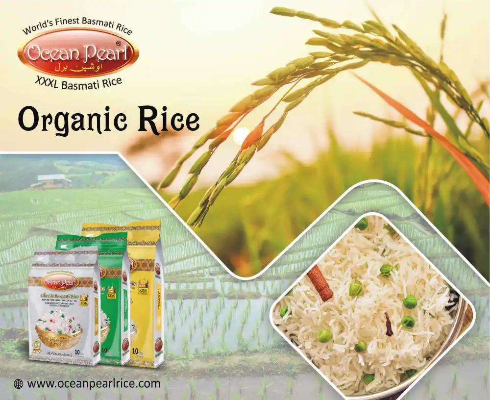 Quality That Defines the Biggest Rice Exporter in Pakistan