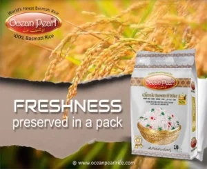 Biggest Basmati Rice Exporter in Punjab That Combines Traditional Methods With Exceptional Taste