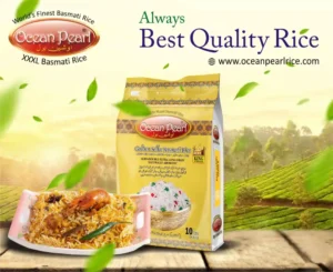 Discover the Best Basmati Rice in Pakistan – Ocean Pearl