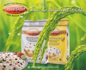 Super Kernel Basmati Rice: A Complete Guide to Pakistan’s Premium Rice